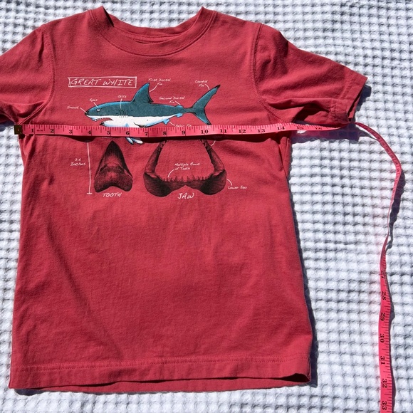 Great White Short Sleeve Tee Shirt - Picture 8 of 13